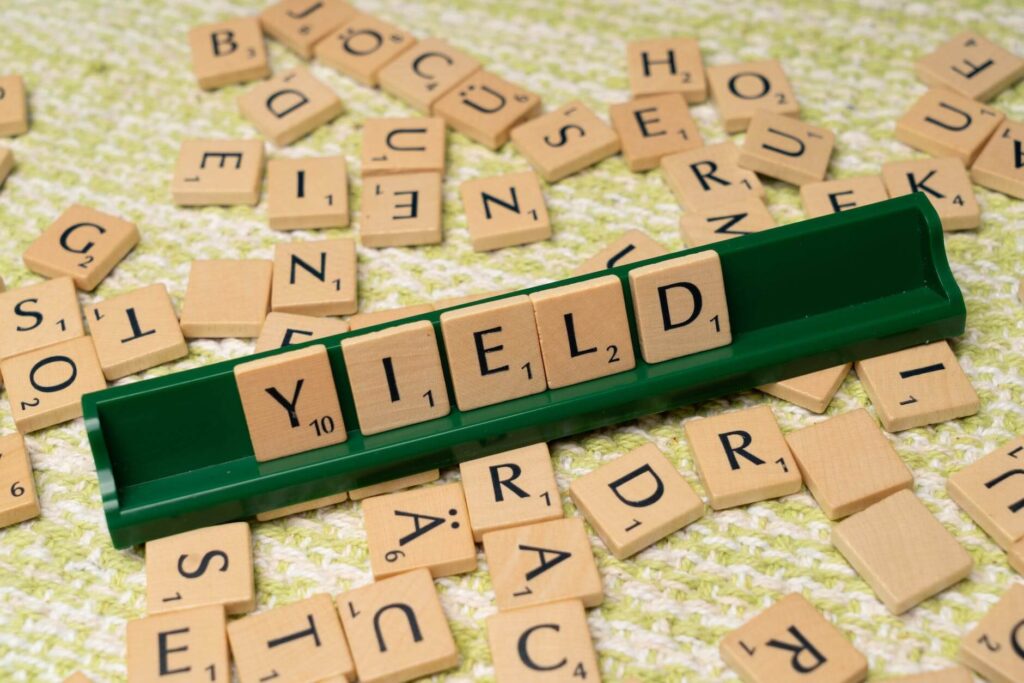 dividend stocks and investment portfilo